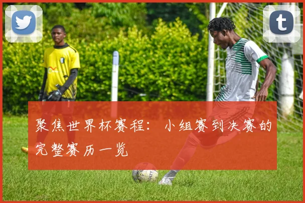 聚焦世界杯赛程：小组赛到决赛的完整赛历一览