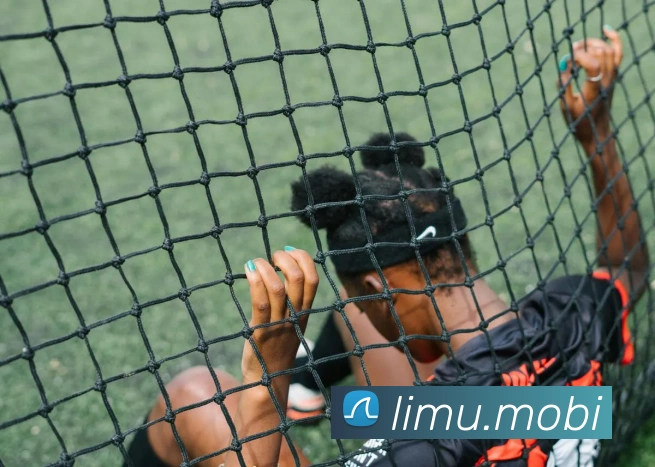 开云手机在线登录官网品牌故事